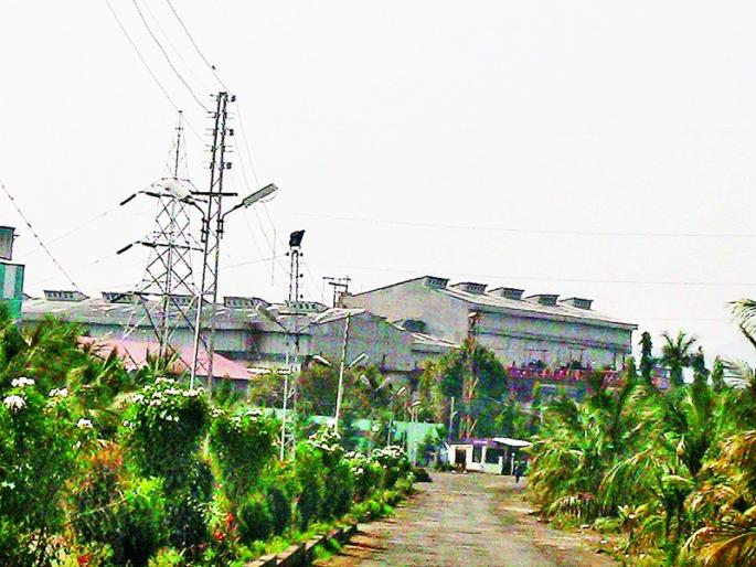 Explain to the District Collector of Vasakka sugarcane | वसाकाच्या ऊस उत्पादकांची जिल्हाधिकाऱ्यांकडे कैफियत Explain to the District Collector of Vasakka sugarcane | वसाकाच्या ऊस उत्पादकांची जिल्हाधिकाऱ्यांकडे कैफियत