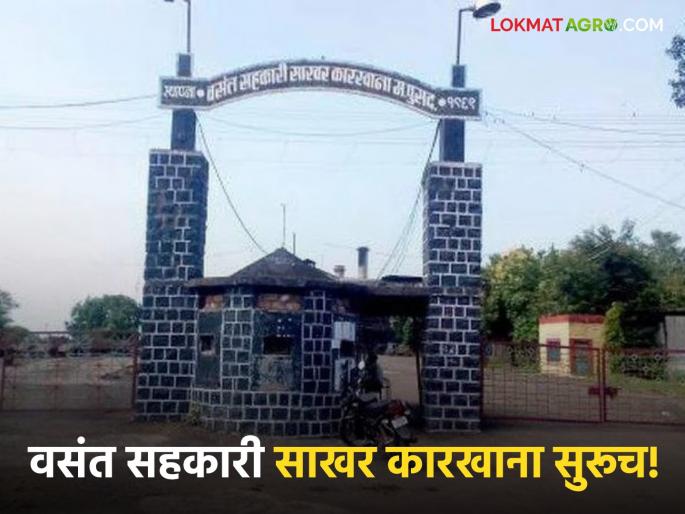 Latest News Rumors of closure of Vasant Cooperative Sugar Factory will continue since Vijayadashami  | Vasant Sugar Factory : वसंत सहकारी साखर कारखाना बंदच्या अफवा, विजयादशमीपासून गाळप  Latest News Rumors of closure of Vasant Cooperative Sugar Factory will continue since Vijayadashami  | Vasant Sugar Factory : वसंत सहकारी साखर कारखाना बंदच्या अफवा, विजयादशमीपासून गाळप