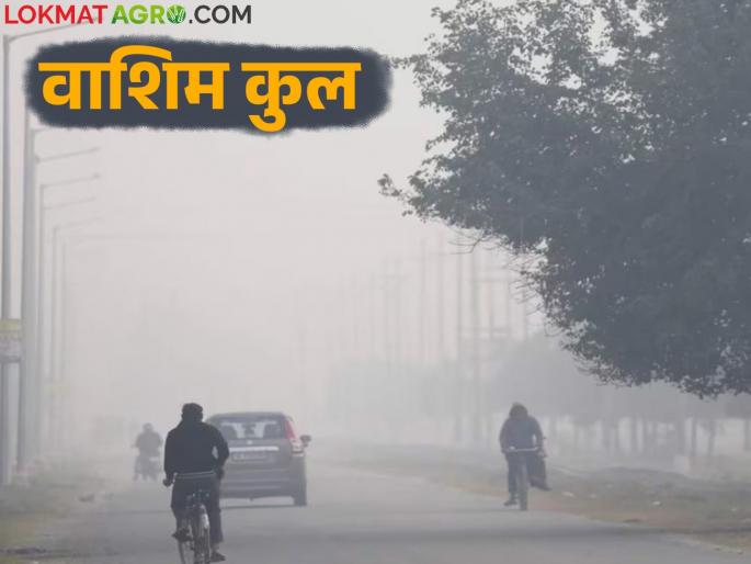 Maharashtra Weather Update : Some districts in the state are super cool; Read IMD report in detail | Maharashtra Weather Update : राज्यात काही जिल्हे सुपरकुल; IMD चा रिपोर्ट वाचा सविस्तर Maharashtra Weather Update : Some districts in the state are super cool; Read IMD report in detail | Maharashtra Weather Update : राज्यात काही जिल्हे सुपरकुल; IMD चा रिपोर्ट वाचा सविस्तर