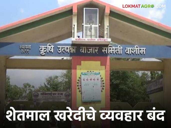Market committee : Market Committees Announced Diwali holiday | Market committee : दिवाळी सुट्टी जाहीर : बाजार समित्यांमधील शेतमाल लिलाव राहणार आठवडाभर बंद Market committee : Market Committees Announced Diwali holiday | Market committee : दिवाळी सुट्टी जाहीर : बाजार समित्यांमधील शेतमाल लिलाव राहणार आठवडाभर बंद