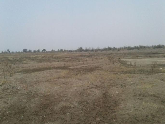 water crises In Washim district | वाशिम जिल्ह्यातील धरणांची स्थिती गंभीर, धरणांमध्ये उरला गाळ water crises In Washim district | वाशिम जिल्ह्यातील धरणांची स्थिती गंभीर, धरणांमध्ये उरला गाळ