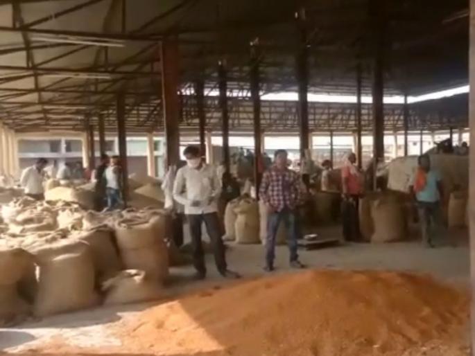 Washim: Farmers in crisis: new toor market; Thousands rupee less than guaranteed! | वाशिम: शेतकरी अडचणीत : नवीन तूर बाजारात; हमीभावापेक्षा हजार रुपयाने कमी दर! Washim: Farmers in crisis: new toor market; Thousands rupee less than guaranteed! | वाशिम: शेतकरी अडचणीत : नवीन तूर बाजारात; हमीभावापेक्षा हजार रुपयाने कमी दर!