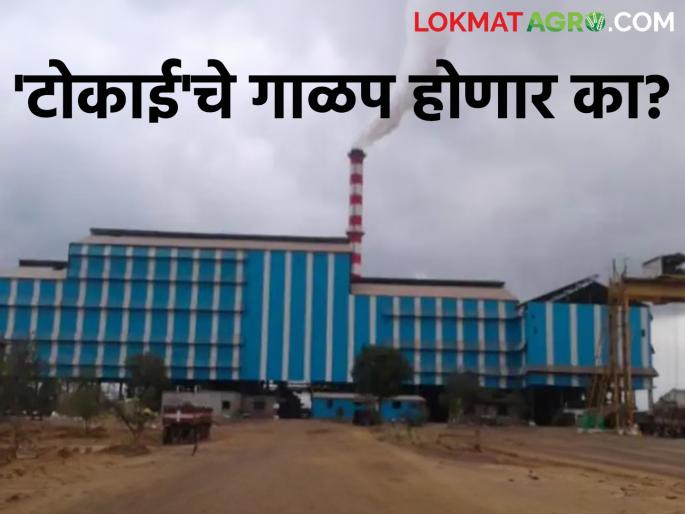Sugar Factory: Will 'Tokai' be filtered or not? Why did pre-seasonal work stop? | Sugar Factory : 'टोकाई'चे गाळप होणार की नाही? पूर्व हंगामी कामे का थांबली Sugar Factory: Will 'Tokai' be filtered or not? Why did pre-seasonal work stop? | Sugar Factory : 'टोकाई'चे गाळप होणार की नाही? पूर्व हंगामी कामे का थांबली
