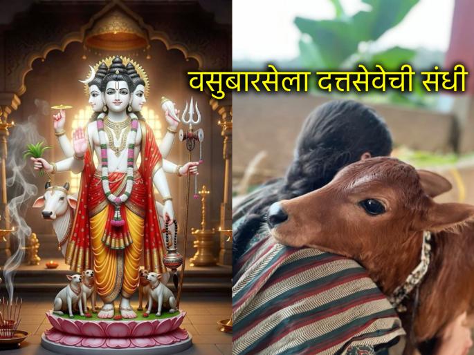 Diwali 2025: Is Goseva the key to Datta's grace? Learn 'this' secret on the occasion of Vasubarase! | Diwali 2025: गोसेवा ही दत्त कृपेची गुरुकिल्ली? वसुबारसेच्या मुहूर्तावर जाणून घ्या 'हे' गुपित! Diwali 2025: Is Goseva the key to Datta's grace? Learn 'this' secret on the occasion of Vasubarase! | Diwali 2025: गोसेवा ही दत्त कृपेची गुरुकिल्ली? वसुबारसेच्या मुहूर्तावर जाणून घ्या 'हे' गुपित!