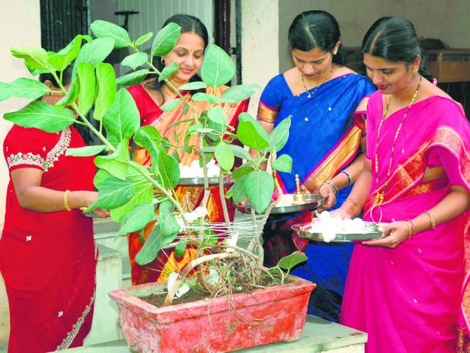 Good luck, please do tomorrow! | सौभाग्यवतींनो, उद्याच करा वटपूजन! Good luck, please do tomorrow! | सौभाग्यवतींनो, उद्याच करा वटपूजन!