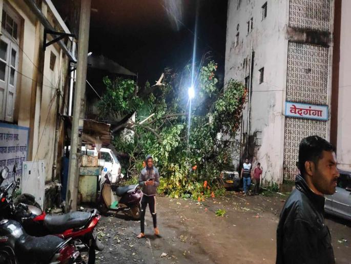 A large tree fell in the CPR Hospital area during the night; Fortunately there were no casualties | सीपीआर हॉस्पिटल परिसरात रात्री मोठे झाड कोसळले; सुदैवाने जीवितहानी नाही A large tree fell in the CPR Hospital area during the night; Fortunately there were no casualties | सीपीआर हॉस्पिटल परिसरात रात्री मोठे झाड कोसळले; सुदैवाने जीवितहानी नाही