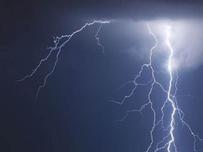 Five cattle were killed by electricity | बुलढाणा : वीज काेसळून पाच गुरे ठार, रब्बी पिकांचेही माेठ्या प्रमाणात नुकसान Five cattle were killed by electricity | बुलढाणा : वीज काेसळून पाच गुरे ठार, रब्बी पिकांचेही माेठ्या प्रमाणात नुकसान