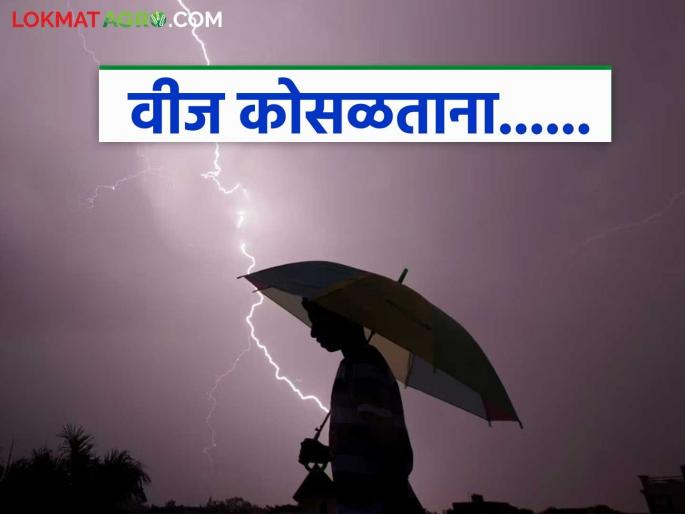 Farmers Safety: When struck by lightning... one wrong step can cost your life! Read in detail | Farmers Safety: वीज कोसळताना... एक चुकीचे पाऊल, जीवावर बेतू शकतो! वाचा सविस्तर Farmers Safety: When struck by lightning... one wrong step can cost your life! Read in detail | Farmers Safety: वीज कोसळताना... एक चुकीचे पाऊल, जीवावर बेतू शकतो! वाचा सविस्तर