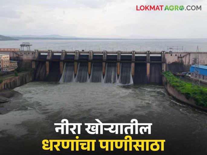 Significant increase in water storage of Bhatghar, Veer, Neera Deoghar and Gunjawani dams in Neera valley; Know in detail | भाटघर, वीर, नीरा देवघर व गुंजवणी धरणांच्या पाणीसाठ्यात मोठी वाढ; जाणून घ्या सविस्तर