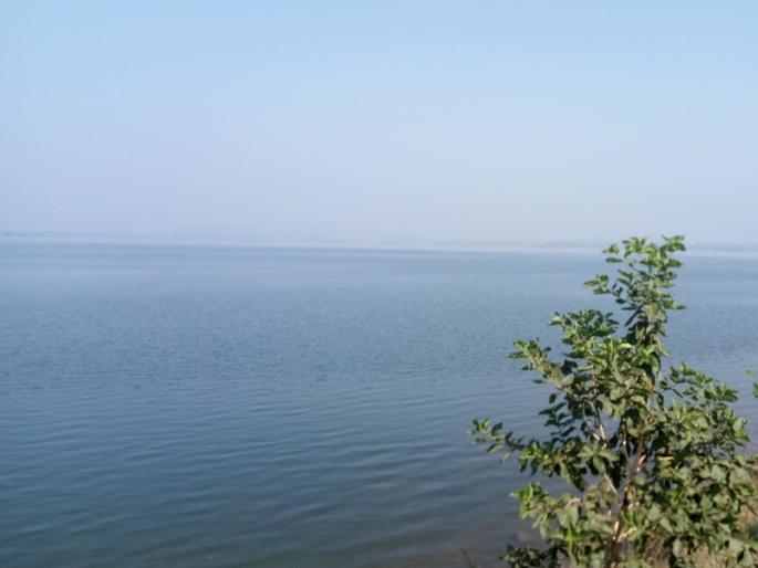 Increase in Veer Dam water storage to 59.62 percent; Water storage from 23 percent to 59 percent | Pune: वीर धरणाच्या पाणीसाठ्यात ५९.६२ टक्क्यांपर्यंत वाढ; पाणीसाठा २३ टक्क्यांवरून ५९ टक्के Increase in Veer Dam water storage to 59.62 percent; Water storage from 23 percent to 59 percent | Pune: वीर धरणाच्या पाणीसाठ्यात ५९.६२ टक्क्यांपर्यंत वाढ; पाणीसाठा २३ टक्क्यांवरून ५९ टक्के