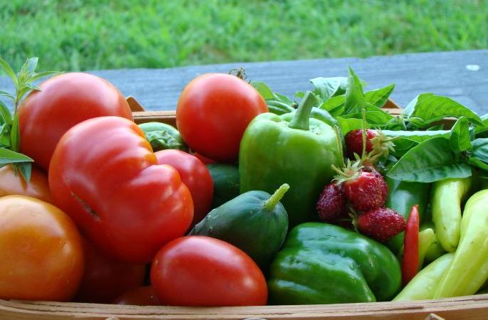 Vegetables cost high in Amravati | अमरावतीत भाजीपाल्याला संचारबंदीचा फटका; कोथिंबीर २५०, टोमॅटो १५० रूपये किलो Vegetables cost high in Amravati | अमरावतीत भाजीपाल्याला संचारबंदीचा फटका; कोथिंबीर २५०, टोमॅटो १५० रूपये किलो