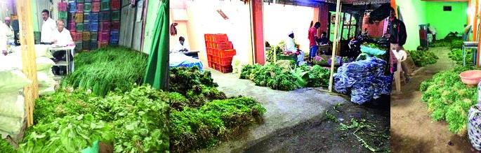 Do not sell vegetables for less, but eat animals! | भाजीपाला कमी भावात विका, नाही तर जनावरांना खाऊ घाला! Do not sell vegetables for less, but eat animals! | भाजीपाला कमी भावात विका, नाही तर जनावरांना खाऊ घाला!