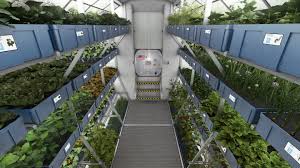 Now farming in space for astronauts! | अंतराळवीरांसाठी आता अवकाशात शेती ! Now farming in space for astronauts! | अंतराळवीरांसाठी आता अवकाशात शेती !
