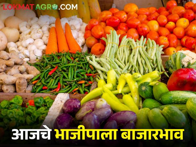 Latest News Todays red chilly and other Vegetables Market Price in maharashtra bajar samiti | गवार खातेय भाव, लाल अन् हिरव्या मिरचीचं काय? जाणून घ्या आजचे भाजीपाला दर  Latest News Todays red chilly and other Vegetables Market Price in maharashtra bajar samiti | गवार खातेय भाव, लाल अन् हिरव्या मिरचीचं काय? जाणून घ्या आजचे भाजीपाला दर
