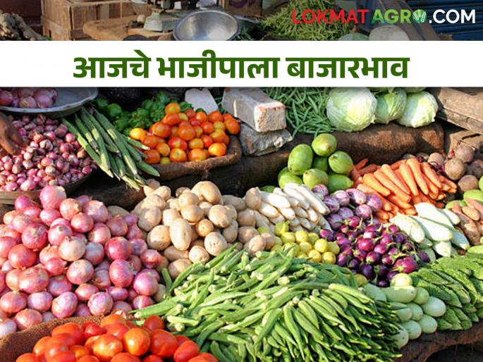 Latest News Todays Vegetables Market Price in maharashtra bajar samiti | भाजीपाला पिकाला काय बाजारभाव मिळतोय? आजचे भाजीपाला जाणून घ्या? Latest News Todays Vegetables Market Price in maharashtra bajar samiti | भाजीपाला पिकाला काय बाजारभाव मिळतोय? आजचे भाजीपाला जाणून घ्या?