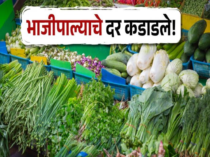 in mumbai increase in demand for vegetables due to rain ganeshotsav scissors for consumers pockets | पाऊस, गणेशोत्सवामुळे भाज्या कडाडल्या, मागणीतही वाढ : ग्राहकांच्या खिशाला कात्री in mumbai increase in demand for vegetables due to rain ganeshotsav scissors for consumers pockets | पाऊस, गणेशोत्सवामुळे भाज्या कडाडल्या, मागणीतही वाढ : ग्राहकांच्या खिशाला कात्री