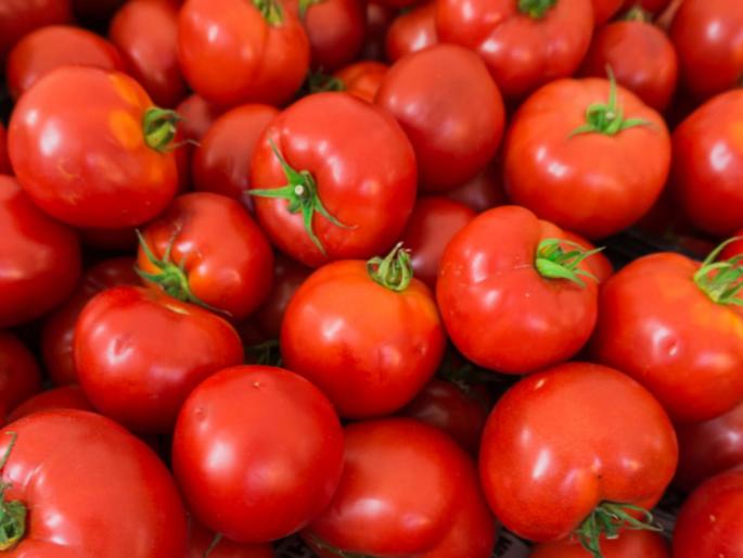 No vegetable without tomatoes 100 rupees per kg after increase in the price in market yard | टोमॅटोशिवाय भाजी नाही; किलोला १०० रुपये, दर वाढ ऐकून सामान्य झाले लालबुंद No vegetable without tomatoes 100 rupees per kg after increase in the price in market yard | टोमॅटोशिवाय भाजी नाही; किलोला १०० रुपये, दर वाढ ऐकून सामान्य झाले लालबुंद