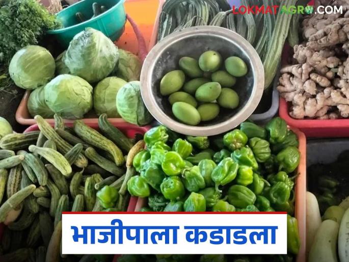 latest news Vegetable Market: Vegetables are scarce in the market, where is the relief for farmers? Read in detail | Vegetable Market : बाजारात भाजीपाला कडाडला, शेतकऱ्यांना दिलासा कुठे? वाचा सविस्तर latest news Vegetable Market: Vegetables are scarce in the market, where is the relief for farmers? Read in detail | Vegetable Market : बाजारात भाजीपाला कडाडला, शेतकऱ्यांना दिलासा कुठे? वाचा सविस्तर