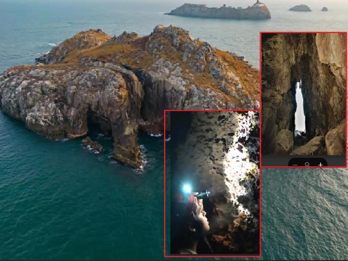 The largest colony of the Swift Party on the islands of the Vengurla Sea is feared to be destroyed, threat of climate change | स्विफ्ट पक्षाची सर्वांत मोठी वसाहत नष्ट होण्याची भिती, हवामान बदलाचा धोका The largest colony of the Swift Party on the islands of the Vengurla Sea is feared to be destroyed, threat of climate change | स्विफ्ट पक्षाची सर्वांत मोठी वसाहत नष्ट होण्याची भिती, हवामान बदलाचा धोका