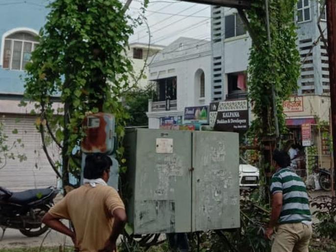Bushes removed around Transformer and power poles in Akola district | अकोला जिल्ह्यातील रोहीत्रे आणि विद्युत खांब झाले वेलीमुक्त