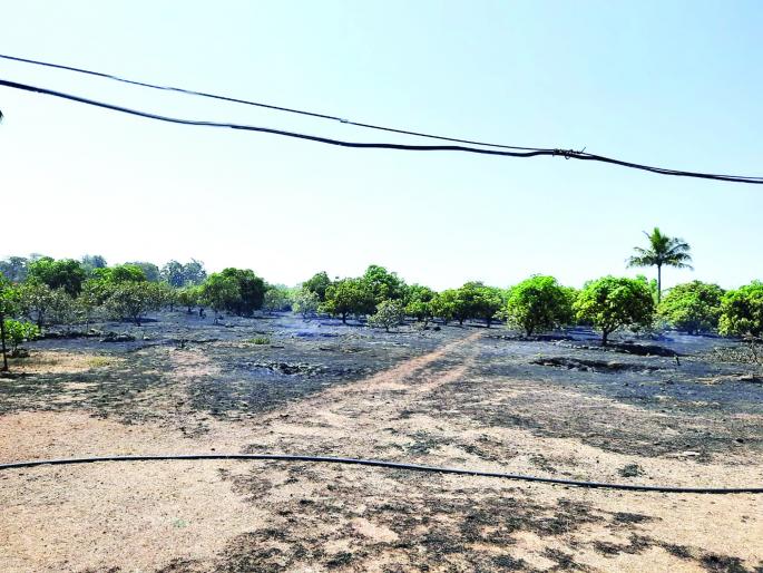 Massive fire due to short circuit at Asoli-Vadkhol | आसोली-वडखोल येथे शॉर्टसर्किटमुळे भीषण आग Massive fire due to short circuit at Asoli-Vadkhol | आसोली-वडखोल येथे शॉर्टसर्किटमुळे भीषण आग