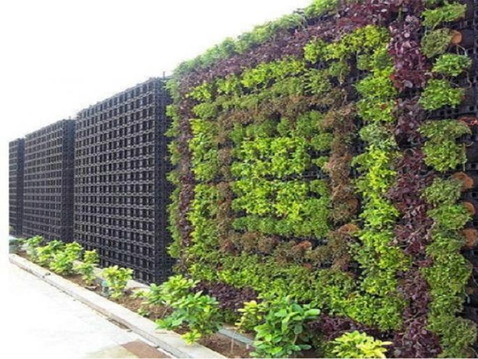 Vertical gardens in the city to reduce pollution; Fountains will also be started in various areas | प्रदूषण नियंत्रणासाठी दिल्लीच्या धर्तीवर शहरात व्हर्टिकल गार्डन उभारणार Vertical gardens in the city to reduce pollution; Fountains will also be started in various areas | प्रदूषण नियंत्रणासाठी दिल्लीच्या धर्तीवर शहरात व्हर्टिकल गार्डन उभारणार
