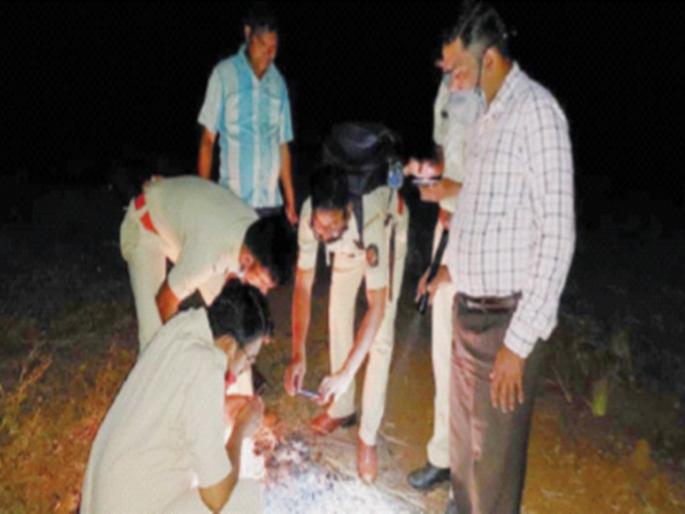 Fear of tiger sightings in Dandaguri area | वाघाच्या दर्शनाने दांडगुरी परिसरात भीती Fear of tiger sightings in Dandaguri area | वाघाच्या दर्शनाने दांडगुरी परिसरात भीती