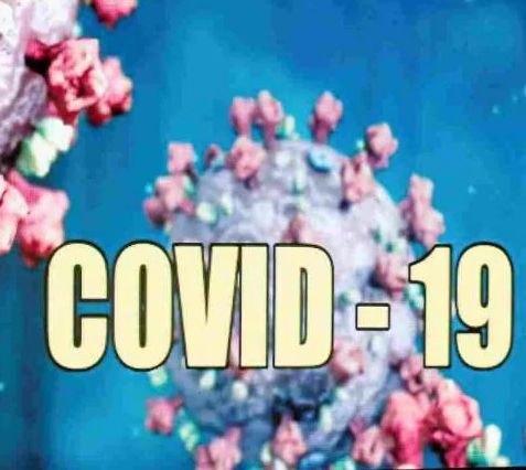 Most active patients in Juhugaon, Rabale, Sanpada, Vashi, Ghansoli | जुहूगाव, रबाळे, सानपाडा, वाशी, घणसोलीत सर्वाधिक सक्रिय रुग्ण Most active patients in Juhugaon, Rabale, Sanpada, Vashi, Ghansoli | जुहूगाव, रबाळे, सानपाडा, वाशी, घणसोलीत सर्वाधिक सक्रिय रुग्ण