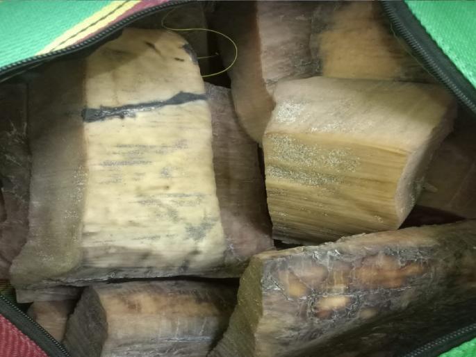 19 kg of whale fish hidden in the sand seized, Malvan police action | वाळूत लपवून ठेवलेली व्हेल माशाची १९ किलोची उलटी जप्त, मालवण पोलिसांची कारवाई 19 kg of whale fish hidden in the sand seized, Malvan police action | वाळूत लपवून ठेवलेली व्हेल माशाची १९ किलोची उलटी जप्त, मालवण पोलिसांची कारवाई