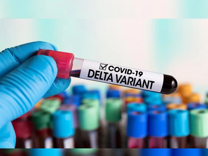 Delta corona Virus raises concerns for Maharashtra; 88% of patients infected | CoronaVirus: डेल्टाने महाराष्ट्राची वाढली चिंता; ८८ टक्के रुग्णांना संसर्ग Delta corona Virus raises concerns for Maharashtra; 88% of patients infected | CoronaVirus: डेल्टाने महाराष्ट्राची वाढली चिंता; ८८ टक्के रुग्णांना संसर्ग