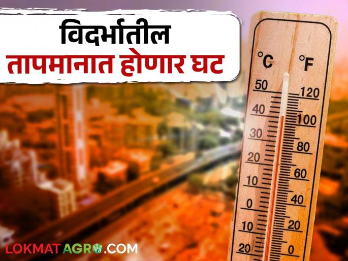Latest News Mercury has reduced to some extent in Vidarbha, now week of light rains | Vidarbh Weather Update : विदर्भात पारा काहीअंशी घटला, आता आठवडाभर वादळवाऱ्याशी गाठ Latest News Mercury has reduced to some extent in Vidarbha, now week of light rains | Vidarbh Weather Update : विदर्भात पारा काहीअंशी घटला, आता आठवडाभर वादळवाऱ्याशी गाठ