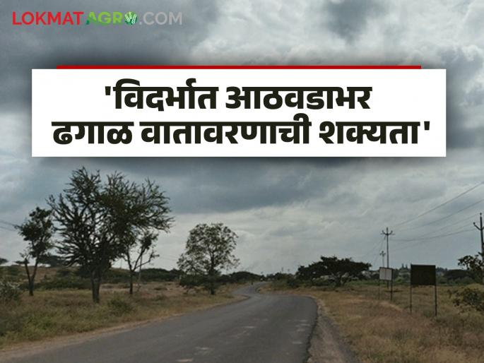 Latest News Maharashtra Weather Update Cloudy weather likely for a week in Vidarbha, read detailed | Maharashtra Weather Update : विदर्भात आठवडाभर ढगाळ वातावरणाची शक्यता, वाचा सविस्तर हवामान अंदाज   Latest News Maharashtra Weather Update Cloudy weather likely for a week in Vidarbha, read detailed | Maharashtra Weather Update : विदर्भात आठवडाभर ढगाळ वातावरणाची शक्यता, वाचा सविस्तर हवामान अंदाज