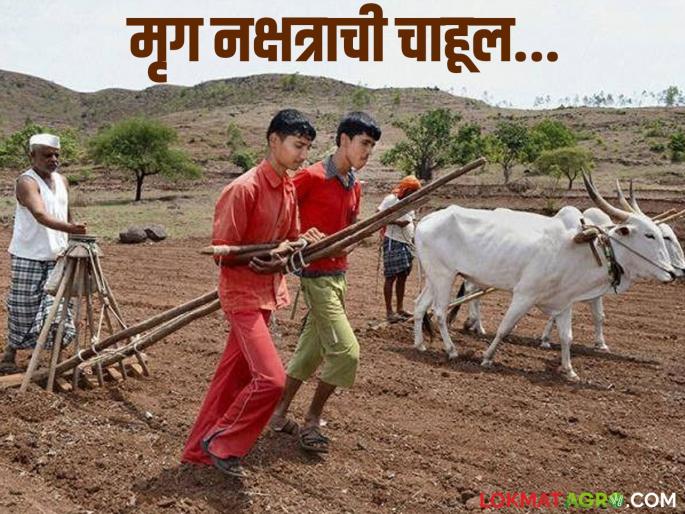 latest news Vidarbha Monsoon Update: Preparations for sowing in Mriga Nakshatra; Agriculture Department advises caution! Read in detail | Vidarbha Monsoon Update : मृग नक्षत्रात पेरणीची तयारी; कृषी विभाग देतोय सतर्कतेचा सल्ला! वाचा सविस्तर latest news Vidarbha Monsoon Update: Preparations for sowing in Mriga Nakshatra; Agriculture Department advises caution! Read in detail | Vidarbha Monsoon Update : मृग नक्षत्रात पेरणीची तयारी; कृषी विभाग देतोय सतर्कतेचा सल्ला! वाचा सविस्तर