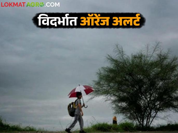 latest news Weather Update News: Thunderstorms in Vidarbha; 'Orange Alert' for five districts Read in detail | Weather Update News: विदर्भात वीजांचा गडगडाट; पाच जिल्ह्यांना 'ऑरेंज अलर्ट' वाचा सविस्तर latest news Weather Update News: Thunderstorms in Vidarbha; 'Orange Alert' for five districts Read in detail | Weather Update News: विदर्भात वीजांचा गडगडाट; पाच जिल्ह्यांना 'ऑरेंज अलर्ट' वाचा सविस्तर