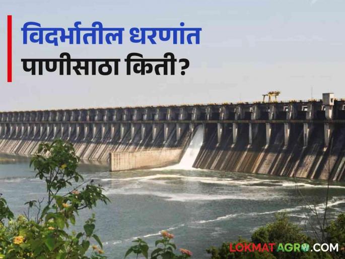 Latest News Todays dam water storage status in Vidarbha Know in detail  | Vidarbha Dam Storage : विदर्भातील धरण पाणीसाठ्याची स्थिती काय? जाणून घ्या सविस्तर  Latest News Todays dam water storage status in Vidarbha Know in detail  | Vidarbha Dam Storage : विदर्भातील धरण पाणीसाठ्याची स्थिती काय? जाणून घ्या सविस्तर
