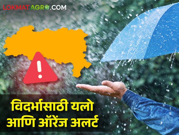 Latest News Weather Alert Yellow and Orange Alert for Vidarbha see other maharashtra details | Weather Alert : विदर्भासाठी यलो आणि ऑरेंज अलर्ट तर उर्वरित महाराष्ट्रात कसे असेल हवामान? Latest News Weather Alert Yellow and Orange Alert for Vidarbha see other maharashtra details | Weather Alert : विदर्भासाठी यलो आणि ऑरेंज अलर्ट तर उर्वरित महाराष्ट्रात कसे असेल हवामान?