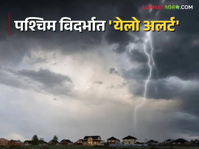 Rain Alert In Vidarbha 'Yellow Alert' for four days from today in West Vidarbha | Rain Alert In Vidarbha पश्चिम विदर्भात आजपासून चार दिवस 'येलो अलर्ट' Rain Alert In Vidarbha 'Yellow Alert' for four days from today in West Vidarbha | Rain Alert In Vidarbha पश्चिम विदर्भात आजपासून चार दिवस 'येलो अलर्ट'