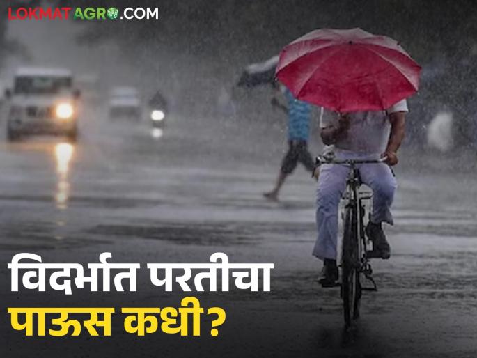 latest news Vidarbha Weather Update: 3-day rain warning in Vidarbha; When will the rain return? Read in detail | Vidarbha Weather Update : विदर्भात ३ दिवसांचा पावसाचा इशारा; परतीचा पाऊस कधी? वाचा सविस्तर latest news Vidarbha Weather Update: 3-day rain warning in Vidarbha; When will the rain return? Read in detail | Vidarbha Weather Update : विदर्भात ३ दिवसांचा पावसाचा इशारा; परतीचा पाऊस कधी? वाचा सविस्तर