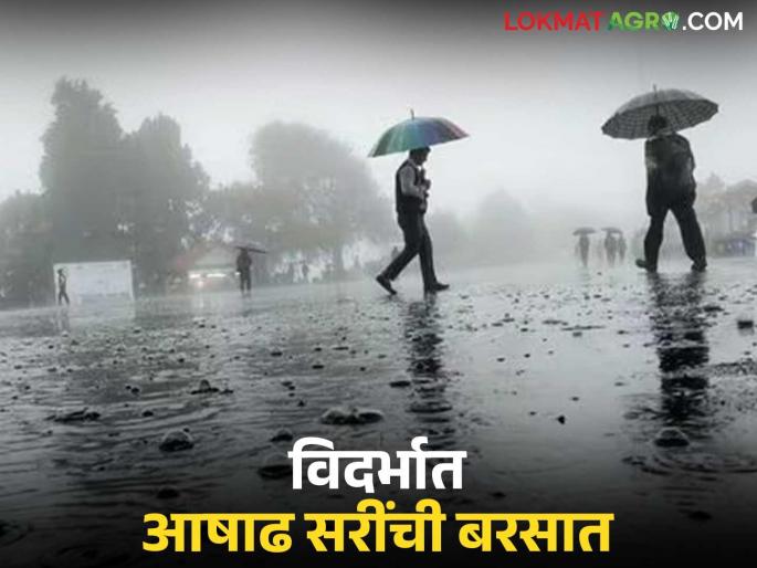 latest news Vidarbha Weather Update: Heavy rains in Vidarbha; Warning of heavy rains for the next two days Read in detail | Vidarbha Weather Update : विदर्भात आषाढसरींचा जोर; पुढील दोन दिवसही मुसळधारचा इशारा वाचा सविस्तर