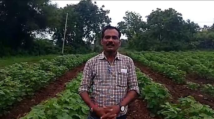 Promoting farmers' honorarium scheme through Banjara dialect; Video viral across the state | बंजारा बोलीतून शेतकरी मानधन योजनेचा प्रचार; राज्यभरात व्हिडीओ व्हायरल Promoting farmers' honorarium scheme through Banjara dialect; Video viral across the state | बंजारा बोलीतून शेतकरी मानधन योजनेचा प्रचार; राज्यभरात व्हिडीओ व्हायरल
