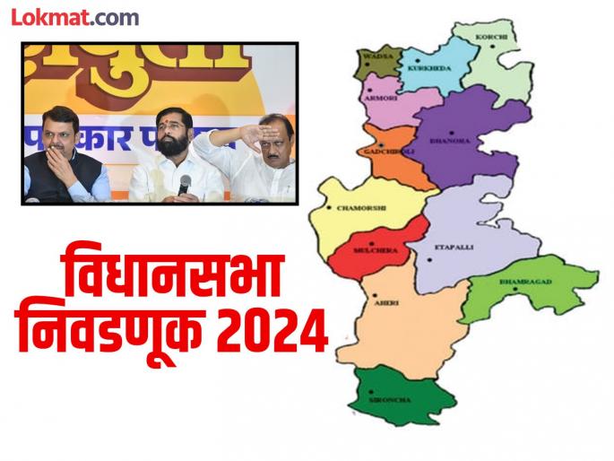 Maharashtra Assembly election 2024 mahayuti maha vikas Aghadi Gadchiroli | बालेकिल्ला राखण्याचे महायुतीपुढे आव्हान, काँग्रेसचा दुणावलेला आत्मविश्वास! Maharashtra Assembly election 2024 mahayuti maha vikas Aghadi Gadchiroli | बालेकिल्ला राखण्याचे महायुतीपुढे आव्हान, काँग्रेसचा दुणावलेला आत्मविश्वास!