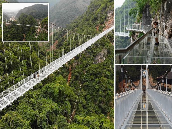 The worlds longest glass bottomed bridge opens to the public stretching 2073ft over a jungle in Vietnam | खुला झाला जगातील सर्वांत लांब काचेचा पूल, चीनवर केली मात The worlds longest glass bottomed bridge opens to the public stretching 2073ft over a jungle in Vietnam | खुला झाला जगातील सर्वांत लांब काचेचा पूल, चीनवर केली मात