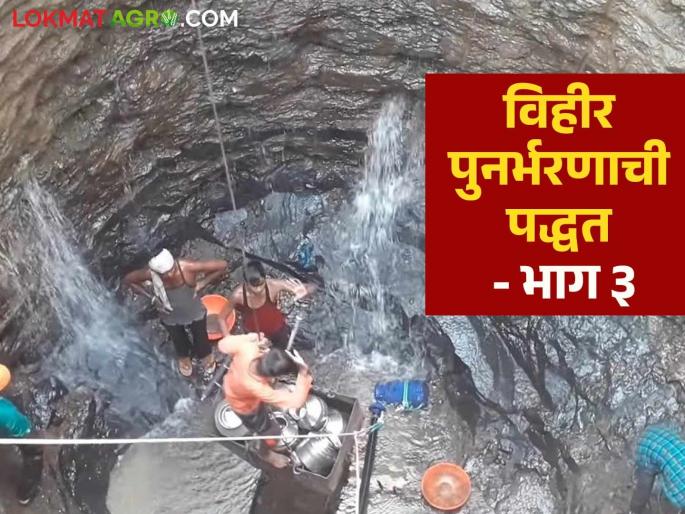 Latest News Agriculture News well recharge How is well refilling method used see details | Well Recharge : विहिरीतील पाणी वाढवायचं आहे? ही पुनर्भरणाची पद्धत अवलंबवा, वाचा सविस्तर  Latest News Agriculture News well recharge How is well refilling method used see details | Well Recharge : विहिरीतील पाणी वाढवायचं आहे? ही पुनर्भरणाची पद्धत अवलंबवा, वाचा सविस्तर