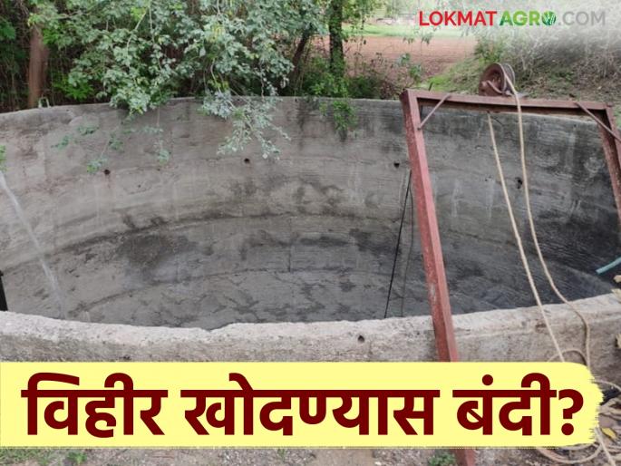 658 villages in Nashik district banned from digging individual wells, read in detail | Agriculture News : नाशिक जिल्ह्यातील 658 गावांना वैयक्तिक विहीर खोदण्यास बंदी, वाचा सविस्तर 658 villages in Nashik district banned from digging individual wells, read in detail | Agriculture News : नाशिक जिल्ह्यातील 658 गावांना वैयक्तिक विहीर खोदण्यास बंदी, वाचा सविस्तर