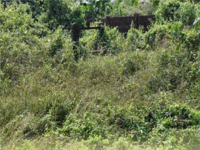 gram panchayat election: and the well at Charatha in Sindhudurga started talking, the topic of discussion in the village | gram panchayat election: ..अन् सिंधुदुर्गातील चराठा येथील विहीर चक्क बोलू लागली, गावात चर्चेचा विषय