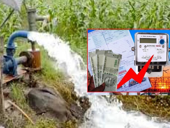 2 Lakh electricity concession to agricultural pump in Sangli district | सांगली जिल्ह्यातील अडीच लाखांवर कृषी पंपाला वीज सवलत 2 Lakh electricity concession to agricultural pump in Sangli district | सांगली जिल्ह्यातील अडीच लाखांवर कृषी पंपाला वीज सवलत