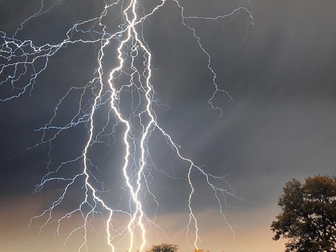 Increase in lightning incidents during monsoon in Sindhudurga, lightning protection system on paper | सिंधुदुर्गात पावसाळ्यात वीज पडण्याच्या घटनांमध्ये वाढ, वीजरोधक यंत्रणा कागदपत्रावरच Increase in lightning incidents during monsoon in Sindhudurga, lightning protection system on paper | सिंधुदुर्गात पावसाळ्यात वीज पडण्याच्या घटनांमध्ये वाढ, वीजरोधक यंत्रणा कागदपत्रावरच