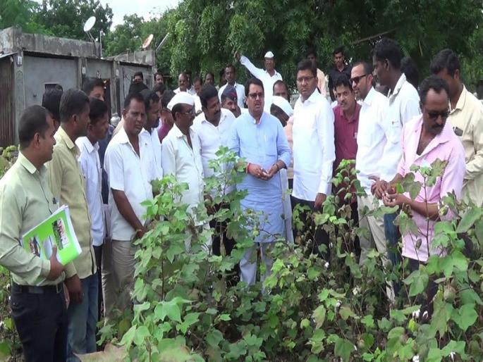 Immediate irrigation should be done on the evidence of the crops - Vijay Vadettiwar | पिकांचे पुराव्यानिशी तातडीने पंचनामे करावेत-विजय वडेट्टीवार Immediate irrigation should be done on the evidence of the crops - Vijay Vadettiwar | पिकांचे पुराव्यानिशी तातडीने पंचनामे करावेत-विजय वडेट्टीवार