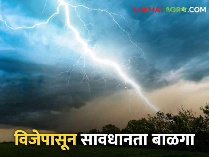 Stay away from electric poles, towers, there is an increase in lightning incidents! | विजेचे खांब, टॉवर्सपासून रहा दूर, वीज पडण्याच्या घटनांमध्ये होतेय वाढ! Stay away from electric poles, towers, there is an increase in lightning incidents! | विजेचे खांब, टॉवर्सपासून रहा दूर, वीज पडण्याच्या घटनांमध्ये होतेय वाढ!