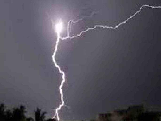 Woman killed by lightning; Suddenly, in the afternoon, lightning struck the body | अंगावर वीज कोसळून महिला ठार; अचानक दुपारी वीज कोसळली Woman killed by lightning; Suddenly, in the afternoon, lightning struck the body | अंगावर वीज कोसळून महिला ठार; अचानक दुपारी वीज कोसळली